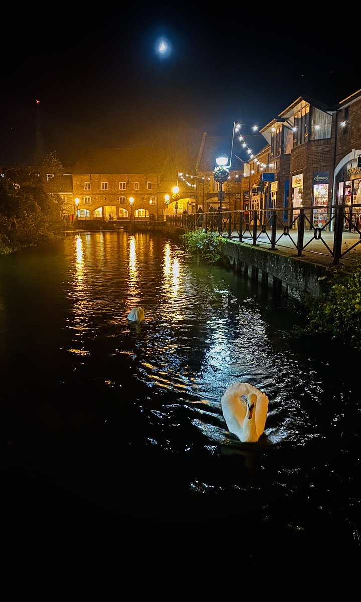 kearneyjennie's tweet photo. Walking over the bridge last night & spotting this image. #Salisbury #river #salisburycatherdral #Swans #moon #lightreflections https://t.co/6nnsNHxilv