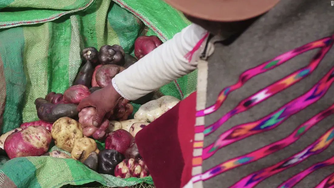 The Crop Trust tweet media