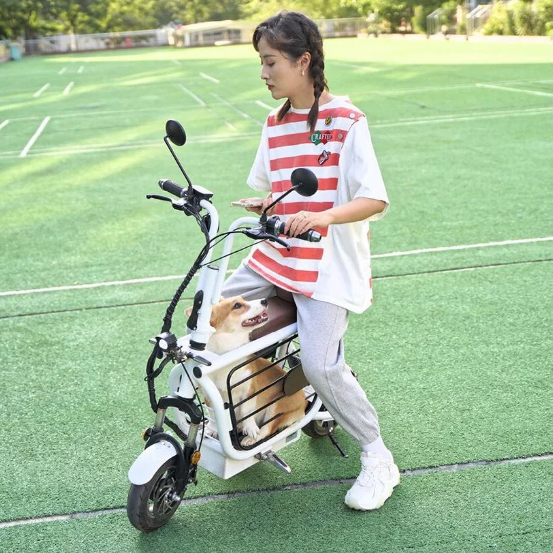 Bigumigu's tweet photo. Bu elektrikli scooter, can dostunuzun güvende olacağı bir yolculuk vadediyor. https://t.co/umaTFEmPcb https://t.co/oTbSSdnxx2