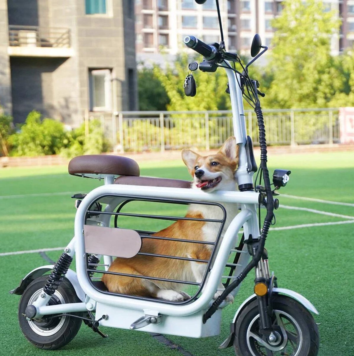 Bigumigu's tweet photo. Bu elektrikli scooter, can dostunuzun güvende olacağı bir yolculuk vadediyor. https://t.co/umaTFEmPcb https://t.co/oTbSSdnxx2