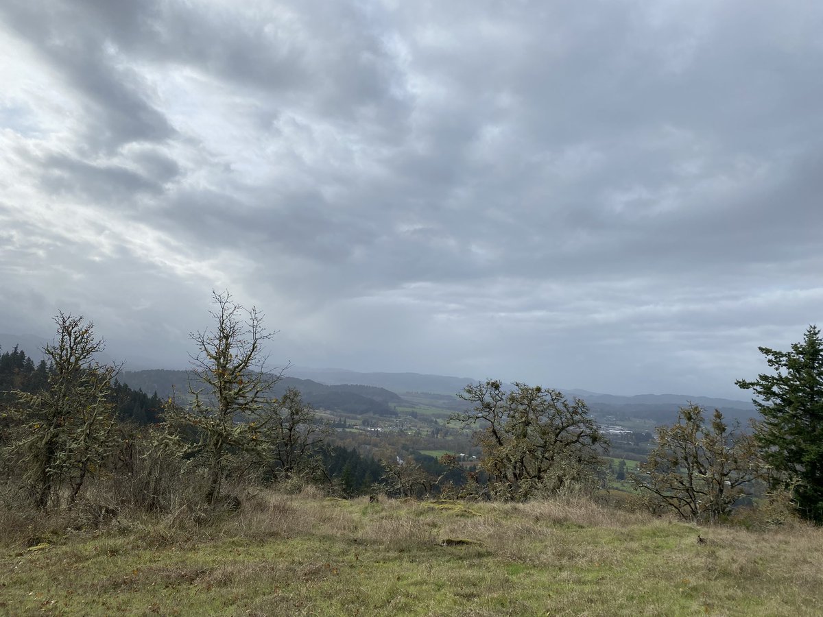 OldWhiteMan tweet media