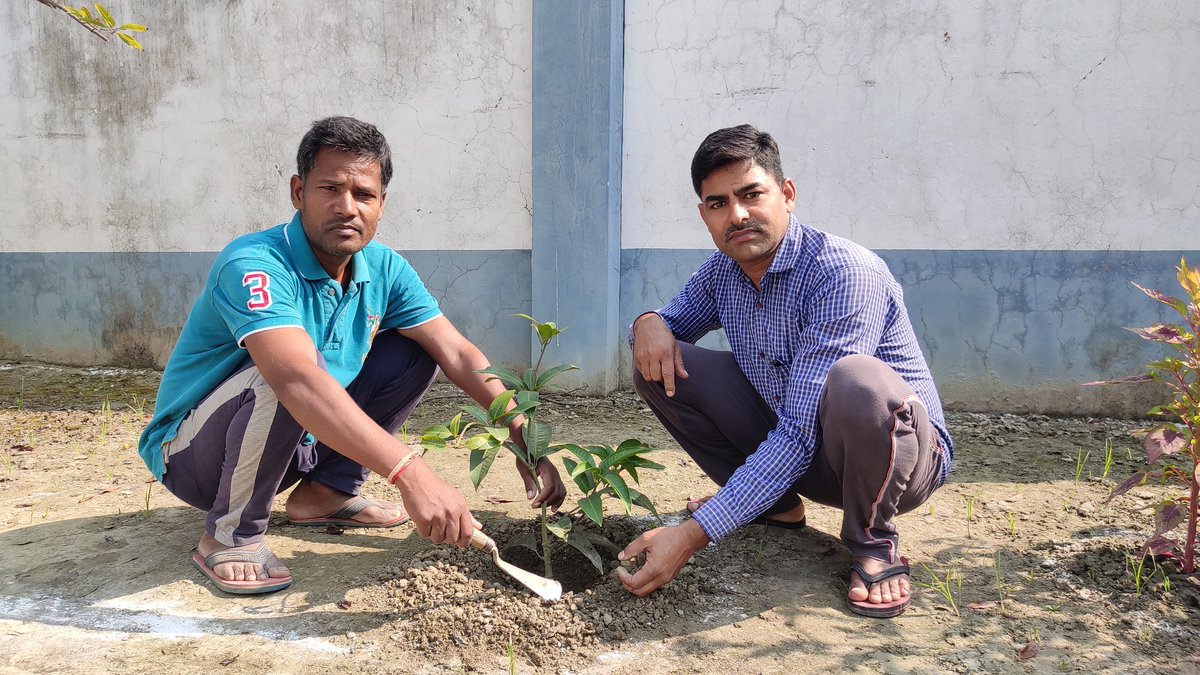 DrSatya40008824's tweet photo. पौधा लगाएं जीवन बचाएं.#selfiewithsapling #dmgopalganj #GreenIndiaChallenge #greenindia #selfiewithsapling #harahaitobharahai @VPSecretariat @rashtrapatibhvn @Rahulia6 #ignitingminds #mkarunakarreddy #बिहारसरकार #जलजीवनहरियाली #cmbihar #nitishkumar #cmsikkim #GreenWall #greener https://t.co/oSQuNL4VMx