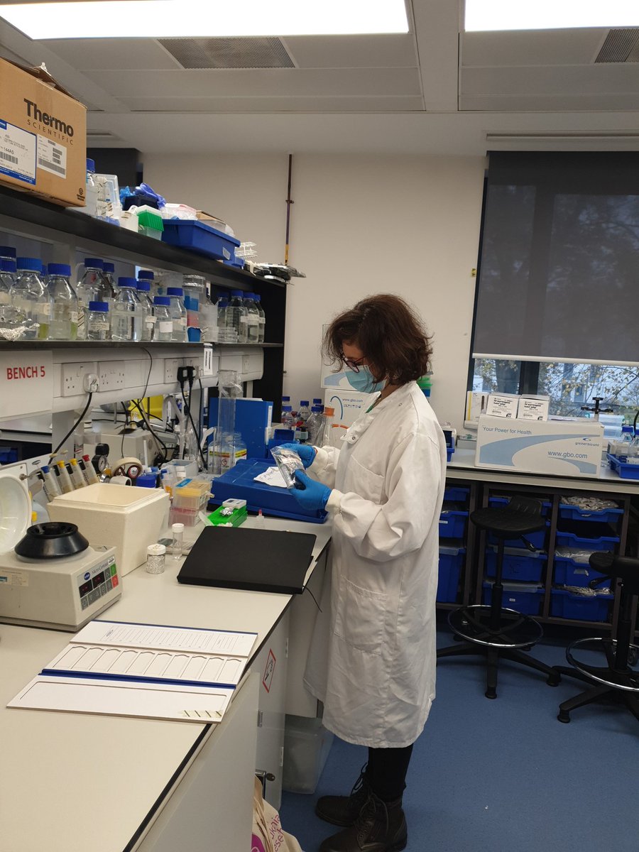 Immunostaining of leukemic cells....Look very focused <a href="/MariaTeresaEs/">Dr MariaTeresa Esposito</a> <a href="/UoR_LifeScience/">UR Life and Health Sciences</a>