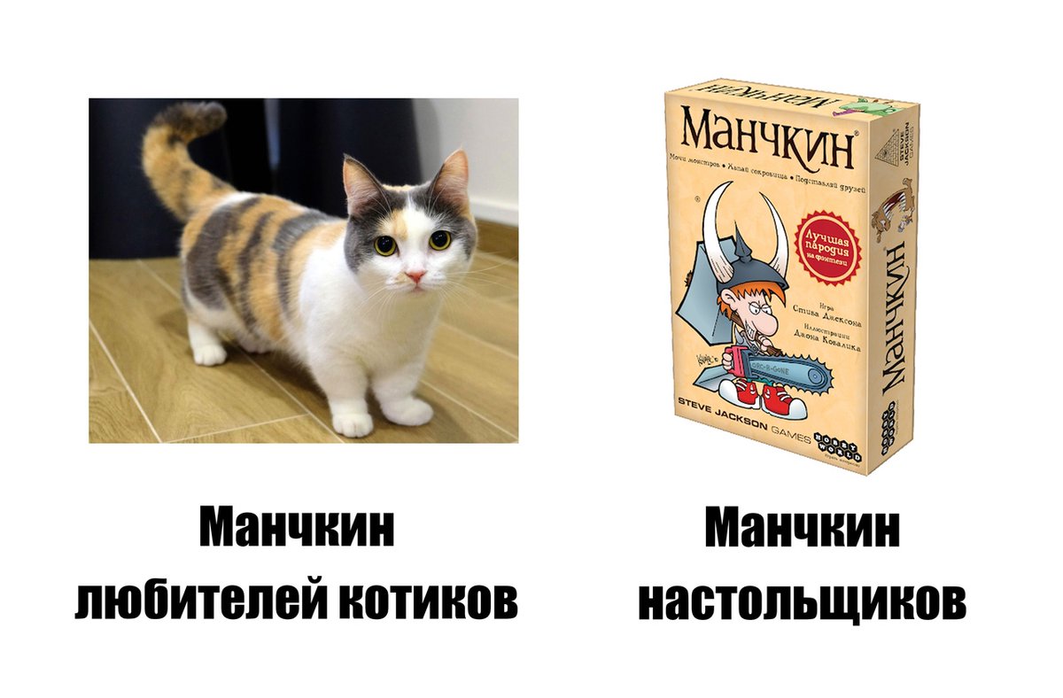 Играете в "Манчкин"?