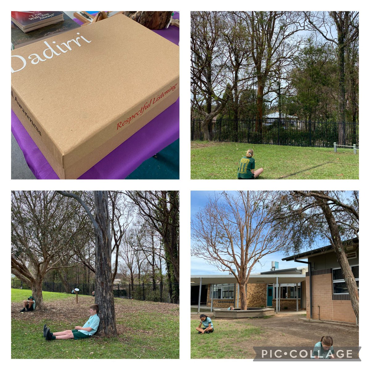 MHOCLeaders's tweet photo. Dadirri ❤️ Inner Deep Listening and Quiet Still Awareness @mhocmob @LismoreRenew https://t.co/pTswj43yJS