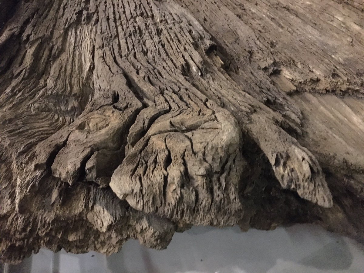 TitusWrites's tweet photo. Wood
Heart of Oak
#museum30 #Day10
Canoe from Locharbriggs - the oldest securely dated log boat in Scotland. From the Bronze Age, at over 4,000 years old @DumfriesMuseum https://t.co/ww2YMGmpia