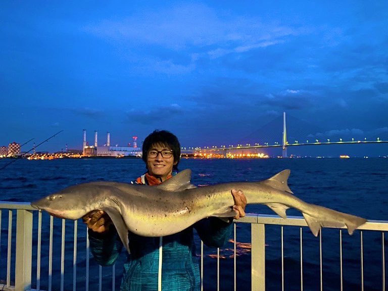 Naokiの釣りアカ Naoki Bigfish Twitter