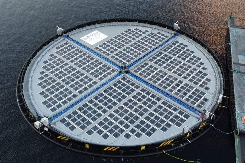 ☀️ Incredible news for #JadeParkDurham tenants <a href="/PowerRollPV/">PowerRoll</a> 

The business who have developed #innovative #solarfilm has teamed up with a Norwegian company to develop zero-emission maritime energy solutions.

Read in full 👉 bit.ly/3wBmGf4 <a href="/HTA_RealEstate/">HTA Real Estate</a> <a href="/HBPPLC/">Highbridge Properties PLC</a> <a href="/CBRE/">CBRE</a>