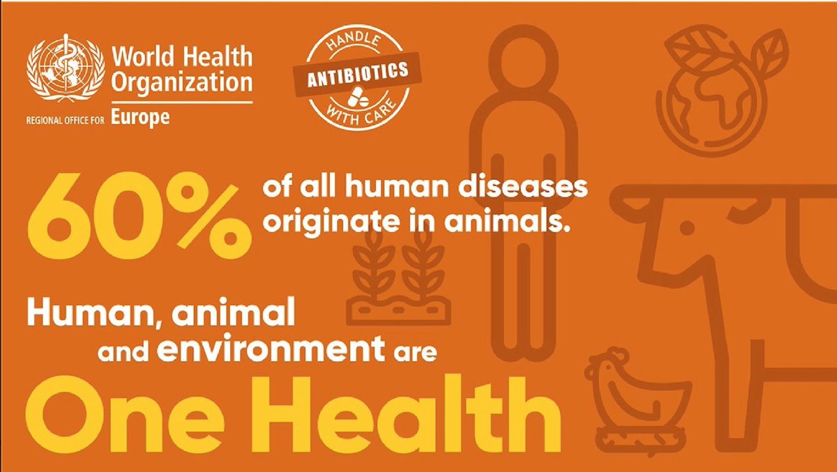 It is estimated that at least 60% of all human diseases are zoonotic, meaning that they can be transferred between #animals & #humans. We must also consider the #environment in the spread of these diseases & how it can be a reservoir for disease. #OneHealth #OneHealthEJP #Health