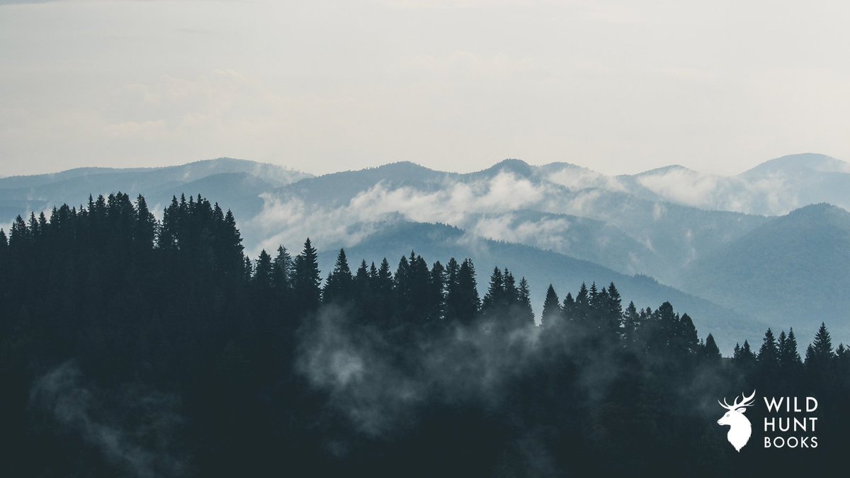 🎨We're looking for some new creatives to follow!🎨

If that's you, let us know what you're working on in the comments and we'll take a look at your work. RTs appreciated 🥰

#writingcommunity