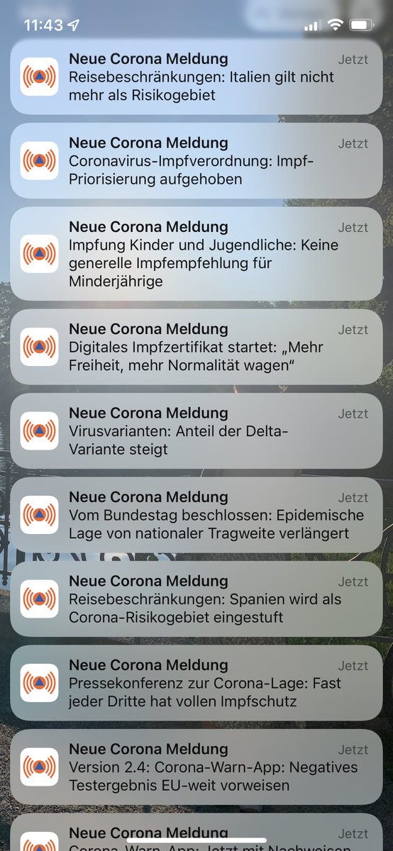 volberg's tweet photo. #nina was wird das? https://t.co/qd3udjkGE6