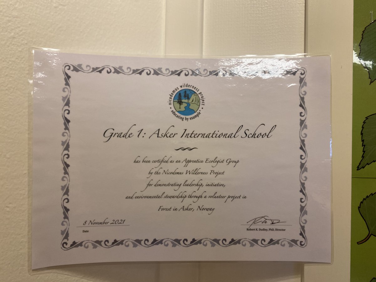 G1 took action last week and picked up trash in the local forest. They were awarded a certificate for their action! Read more about their initiative here: 
wildernessproject.org/apprent.../sho…...
#PYP #Action #IBschool