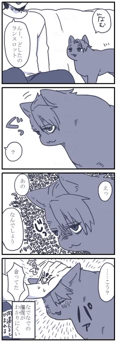 ネコチャン漫画
にゃんすろさんの圧 