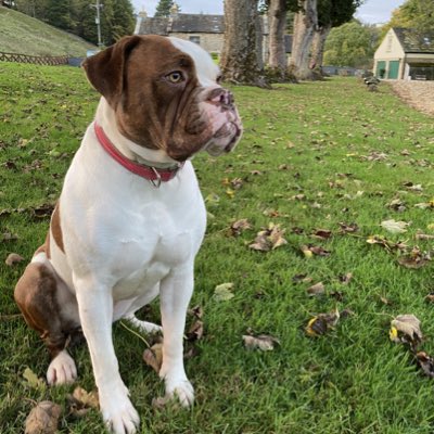 IanCavanagh5's tweet photo. #NewProfilePic https://t.co/n2GFKJR8DN