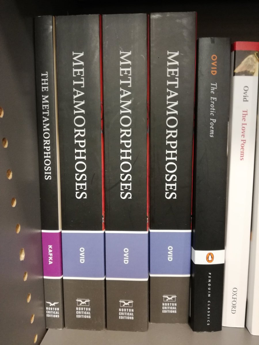After all, why not? #Kafka #Ovid #metamorphosis