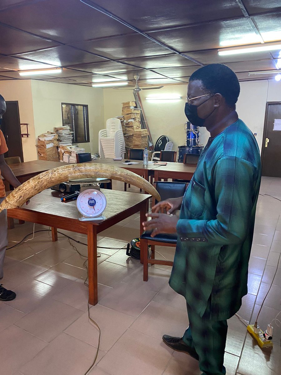 EPIAfrica's tweet photo. Wonderful to see officials in Benin 🇧🇯 being trained ivory management &amp; inventory by @EPIAfrica with partners @NatureTropicale. Benin has one of West Africa's biggest 🐘 populations. We keep stockpiles secure to reduce the illegal ivory trade. https://t.co/EoDlv4rnaB