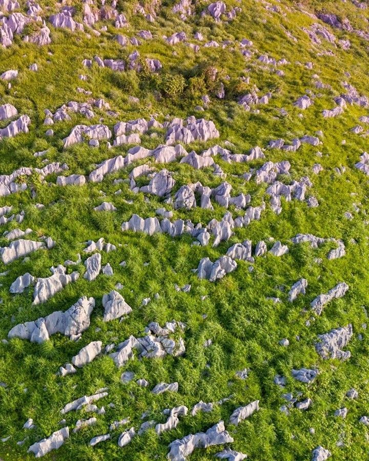 OffbeatJapan's tweet photo. A rather interesting rocky hillside: there are fossils here, remnants of 🦏 🐘: All the great familia of animals that lived in Japan when the sea level was still low enough for it to be connected with continental Asia 😲 https://t.co/58aDb3pxsn