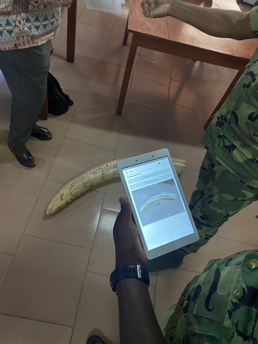 EPIAfrica's tweet photo. Wonderful to see officials in Benin 🇧🇯 being trained ivory management &amp; inventory by @EPIAfrica with partners @NatureTropicale. Benin has one of West Africa's biggest 🐘 populations. We keep stockpiles secure to reduce the illegal ivory trade. https://t.co/EoDlv4rnaB