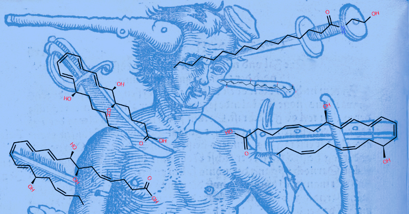 lipidmaps's tweet photo. his week's #LipidMatters is all about pain and the lipids which may relieve it. Bill Christie looks at papers in @ScienceAdvances and @IJMS_MDPI on pain-relieving lipids.
https://t.co/H5jnjorz4U https://t.co/9tcGUBQD3U