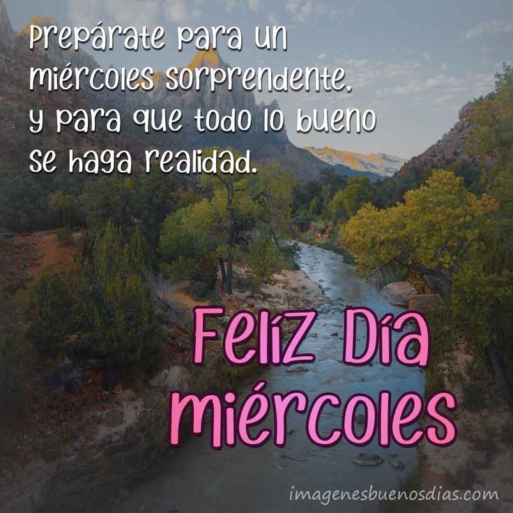 <a href="/sashacruz28/">Beatriz Cruz</a> AMÉN 🙏 GRACIAS ❤ MI BELLA BEATRIZ. MUY BUENOS DÍAS FELIZ MIÉRCOLES BENDICIONES Y UN ABRAZO CUIDATE MUCHO ♥️ 🤗