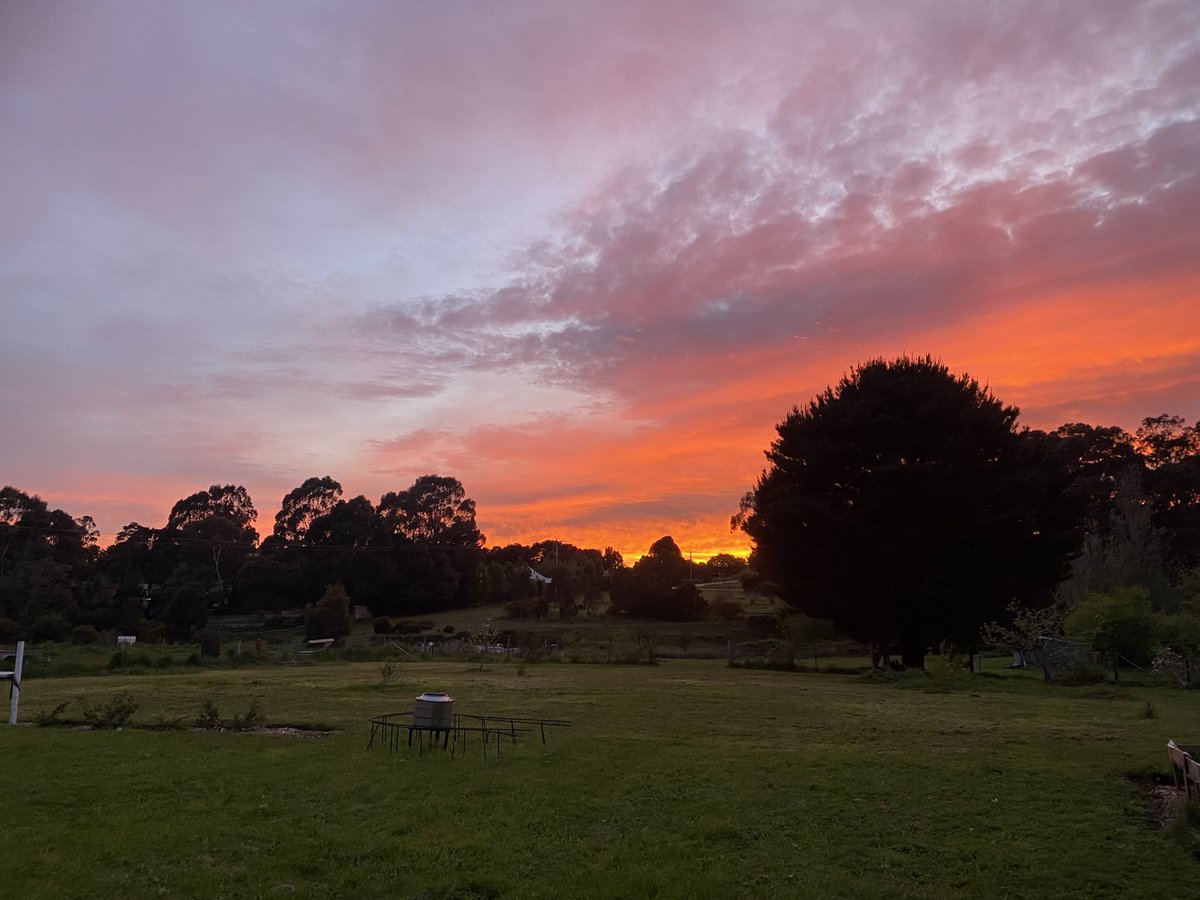 Pinkelstien's tweet photo. Taken a while ago. Great sunset. #TheHamlet #RuralVictoria #LoveWhereYouLive https://t.co/9EVkQMKQAp
