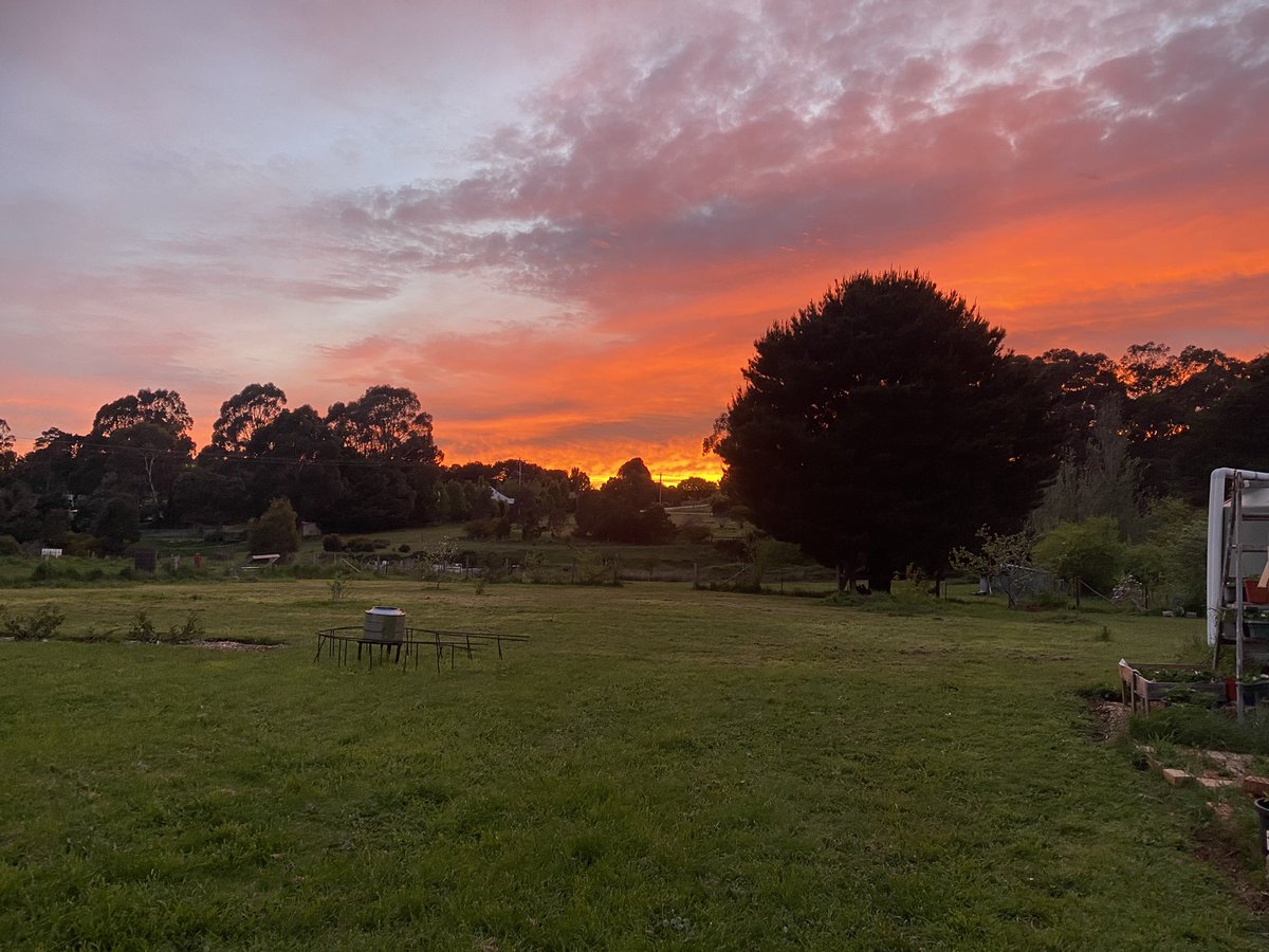 Pinkelstien's tweet photo. Taken a while ago. Great sunset. #TheHamlet #RuralVictoria #LoveWhereYouLive https://t.co/9EVkQMKQAp