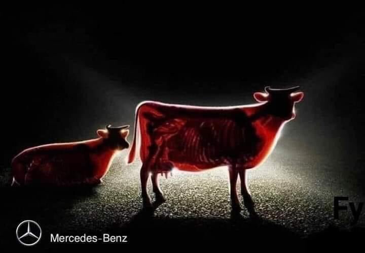 إعلان مرسيدس عن قوة الاضاءه للسيارات الجديدة
الواحد كده لازم يلبس 3 بناطيل علشان يعدى قدامها