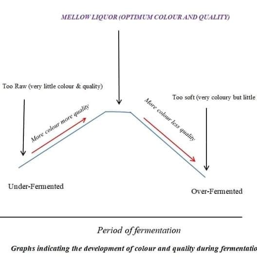 gem_machinery's tweet image. GEM Continuous Fermentation 

#gemmachinery #FoodProcessingIndustry #dryingtechnology #Machinery #manufacturing #teaprocessing #foodprocessing #drying #CFU