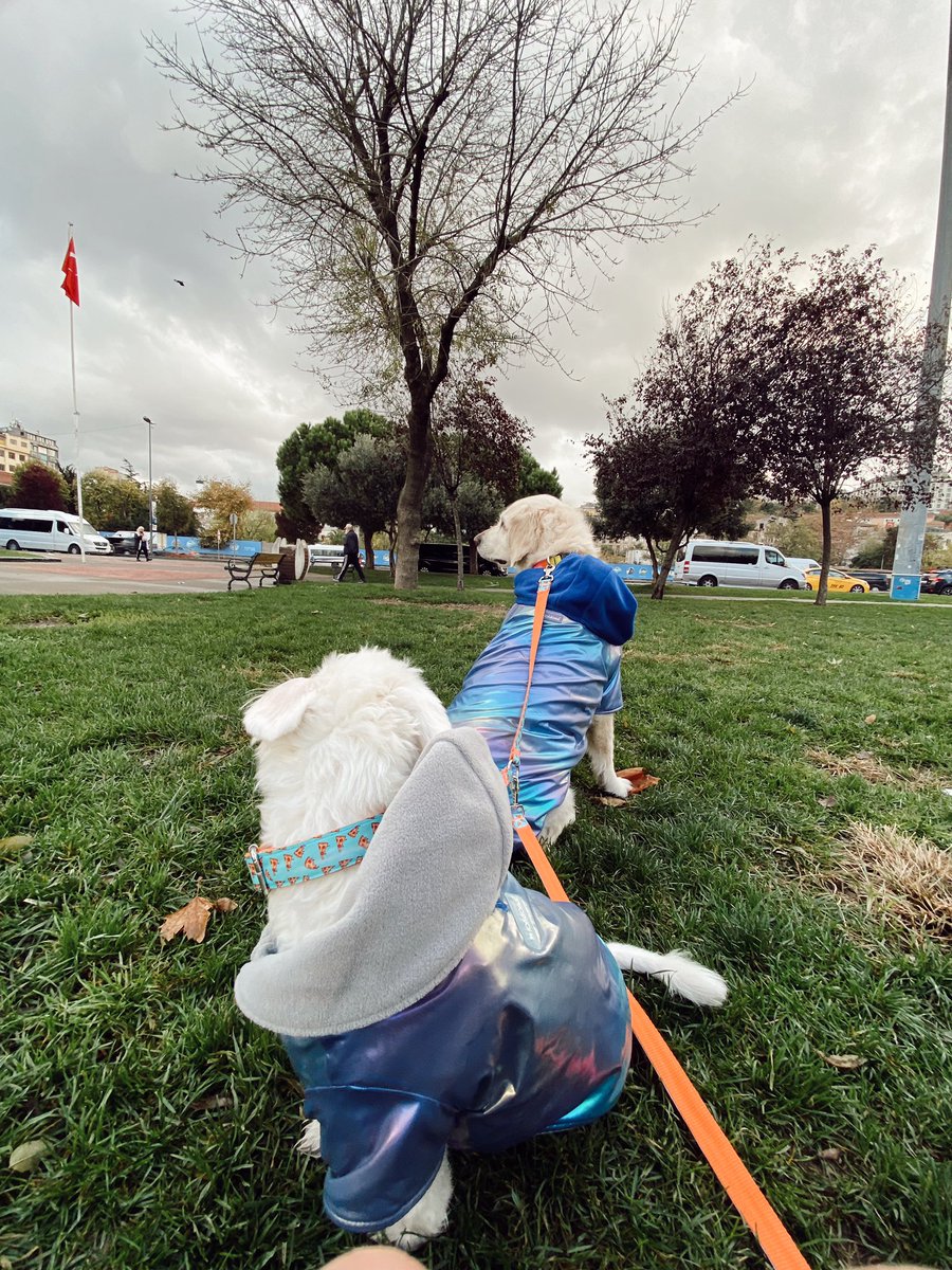 masrafmishacak1's tweet photo. Atamızı andık❤️ https://t.co/ayFOAccQHp
