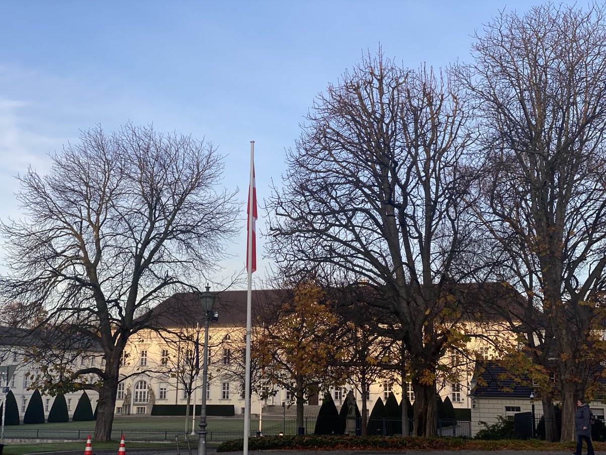 Knut Bergmann tweet media