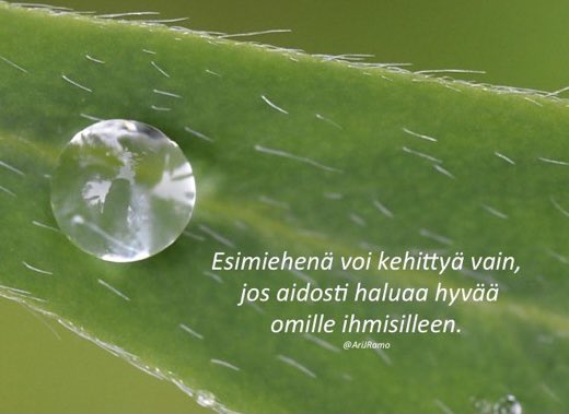 Esimiehenä voi kehittyä vain, jos aidosti haluaa hyvää omille ihmisilleen. 
#arvostus #fiilis #motivaatio