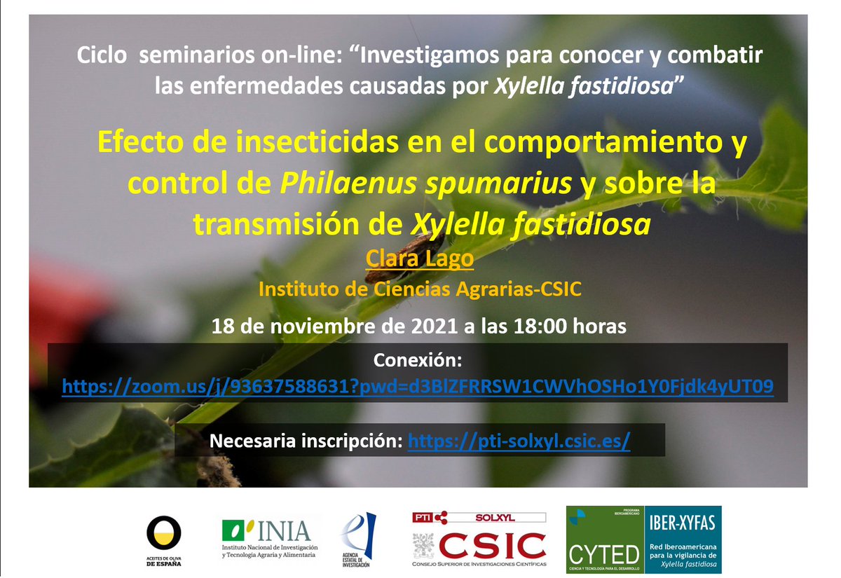 Sol_Xyl's tweet photo. 👉Nuevo #webinar del ciclo «Investigamos para conocer y combatir las enfermedades causadas por Xylella fastidiosa«, impartido Clara Lago👩‍🔬del Instituto de Ciencias Agrarias 🌳 #ICA (@CSIC).
🗓️18 noviembre, 18.00h
#stopxylella 🙅‍♀️
@IAS_CSIC https://t.co/VHV78gOT7n