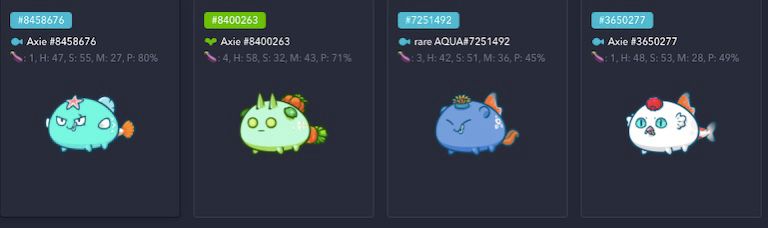 unique_axies's tweet photo. Looking for a scholar who can play any of these 3 axies together below.Please no chancers,only apply in comments if you have experience and mmr of 1500 and above. 

#AxieScholarship #AxieInfinity #axiescholarshipprogram #AxieDoge #AxieScholar #Axie #AxieInfinityScholar https://t.co/mDOZEm5PQL