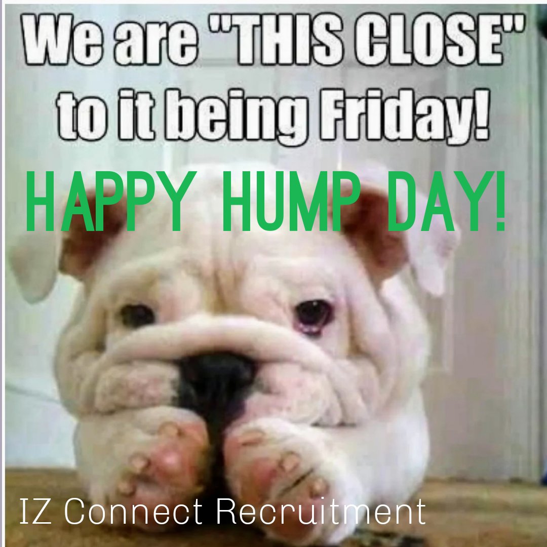 iz_connect360's tweet photo. Happy hump day! Here's to being one step closer to the weekend! #goodmorning #humpday #KeepitOn https://t.co/pFcwKYJ3NB