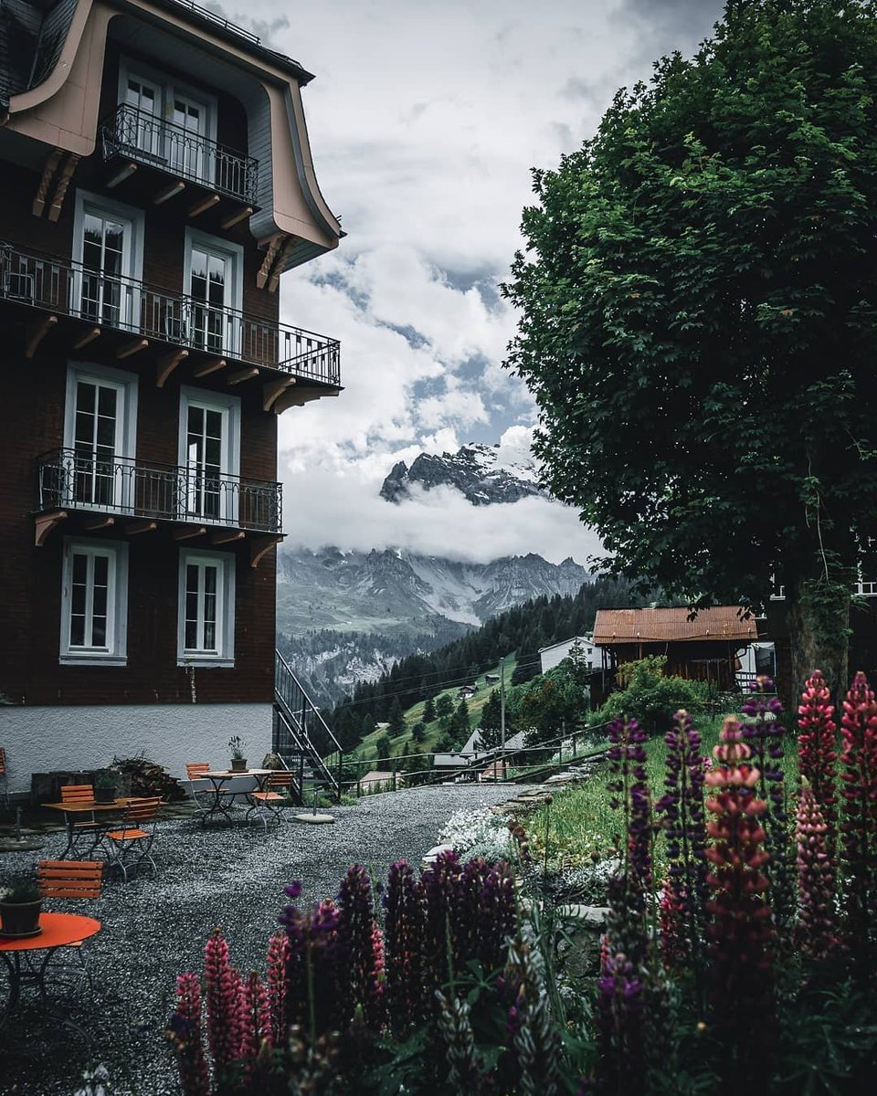San_fabito's tweet photo. GM! Trying to get the flowery foreground. Have a nice day, soon will be weekend again 🙌🏼 https://t.co/FLx3CGQLwE