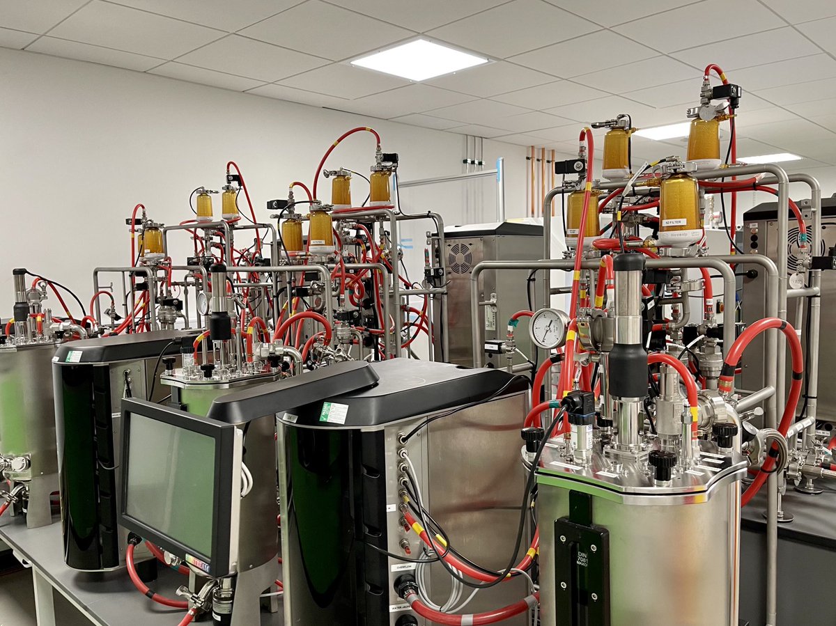 Juliet Dunlop tweet media