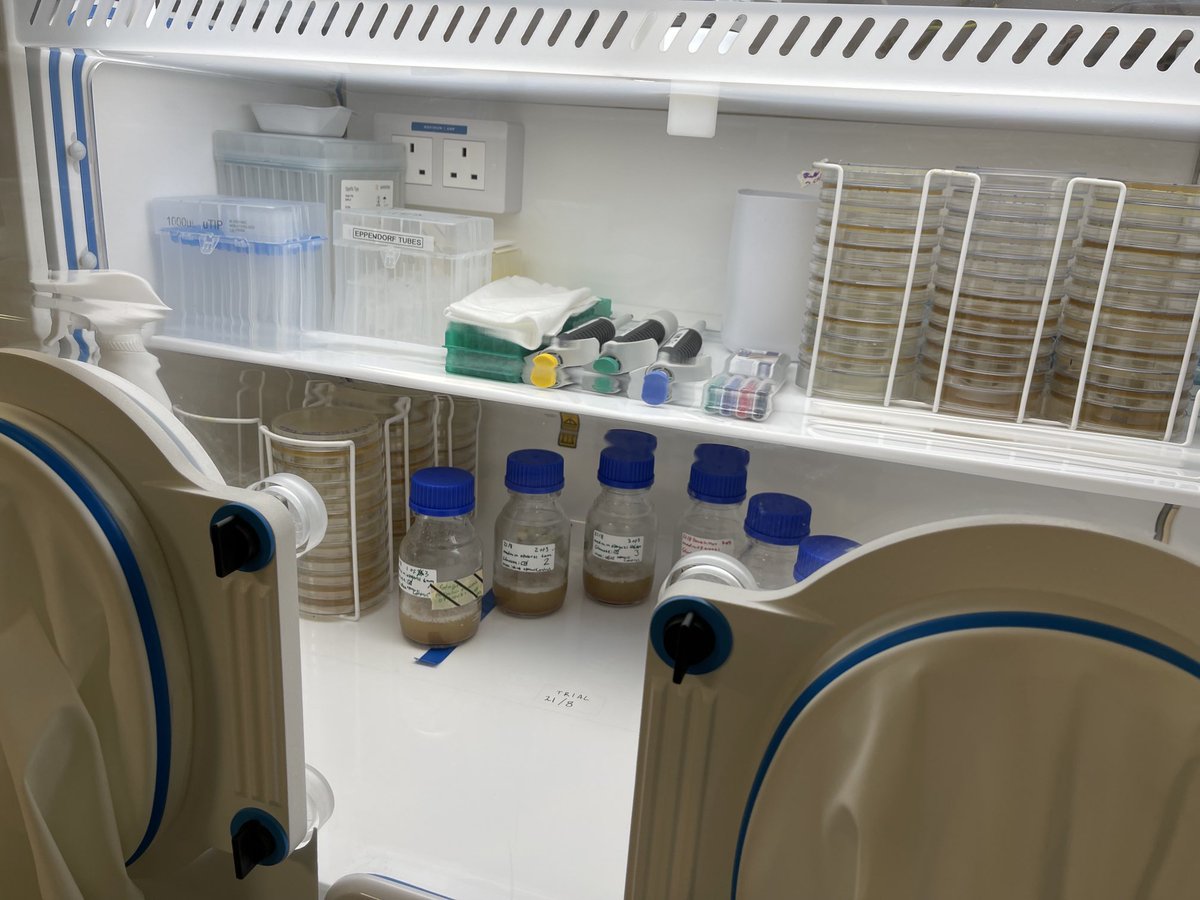 Juliet Dunlop tweet media