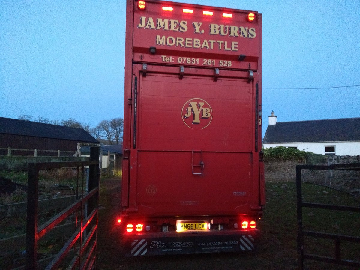Ettrickgiles's tweet photo. A first for us. A full decker load of #organicbeef to abattoir this morning #luingbeef #angusbeef The power of @FarmaxNZ to push a new management system. With encouragement from @pirntatonjim @schollandfarm @BarnsideFarm @thistleyhaugh @SAC_Poppy https://t.co/c2Toy3WIkA