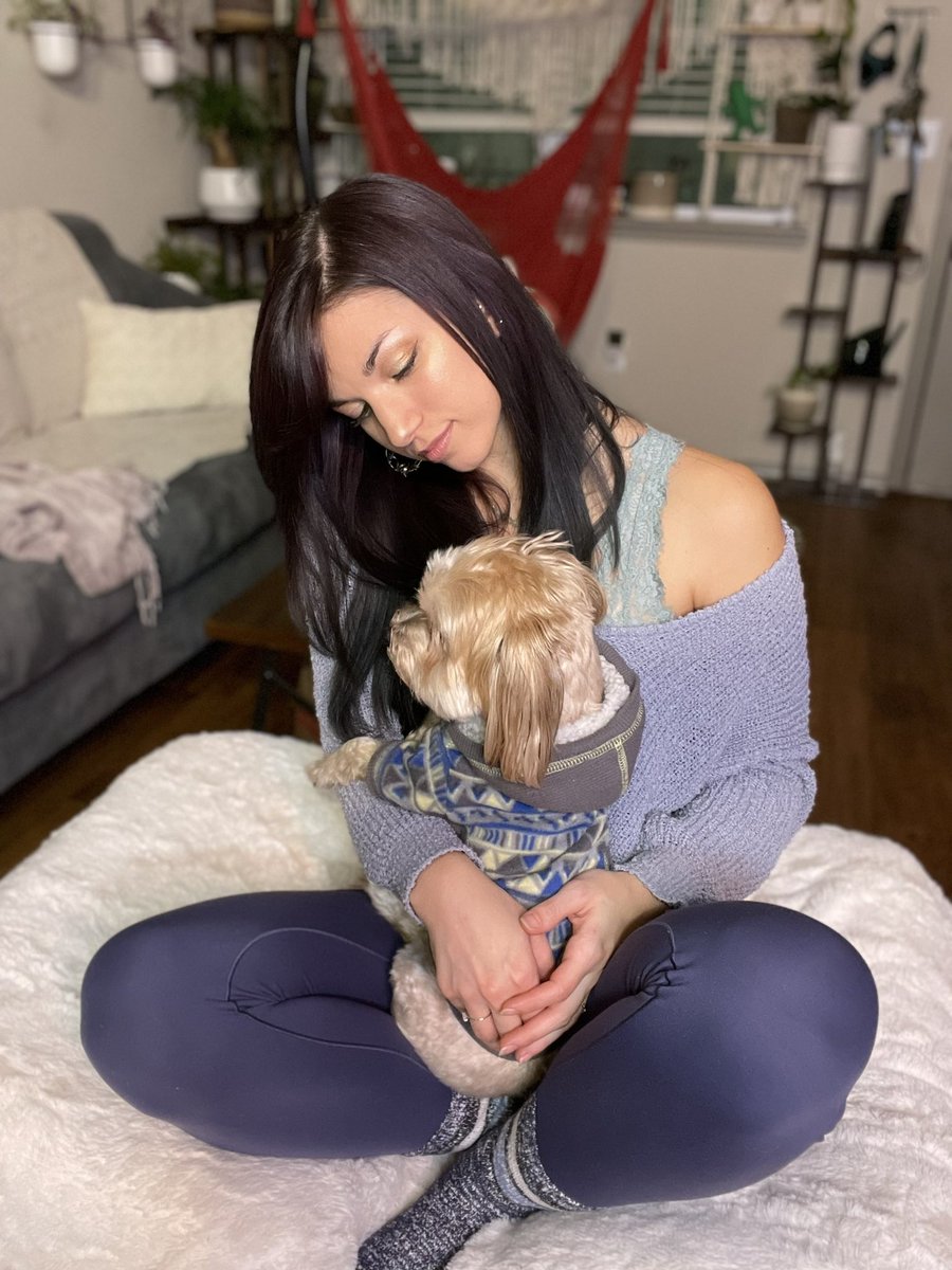 SeeCatBeCat's tweet photo. After finally cleaning all the confetti I just wanted to say thanks again for an amazing 3 years on Twitch, can’t wait to see what the next 3 years bring!
#twitchstreamer #seecatplay #girlsbestfriend #comfy #cozy #bestboy #morkie https://t.co/v3Stsliwwe