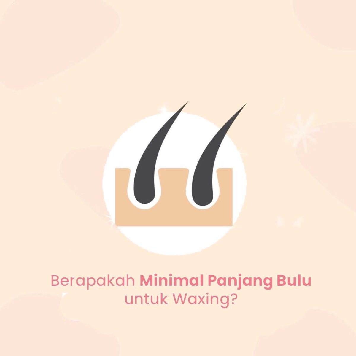 sugarwaxingkit's tweet photo. Kak, kok saat waxing gak keangkat ya bulunya? Emang minimal panjang bulunya berapa sih? 🤔

Jawabannya minimal panjang bulu saat waxing itu 0,6 cm-1cm ya 😚

Pastikan dulu ya kalau bulu / rambut di tubuh kamu itu tidak terlalu pendek supaya bisa terangkat dengan sempurna🥰 https://t.co/wGQuvEs0fx