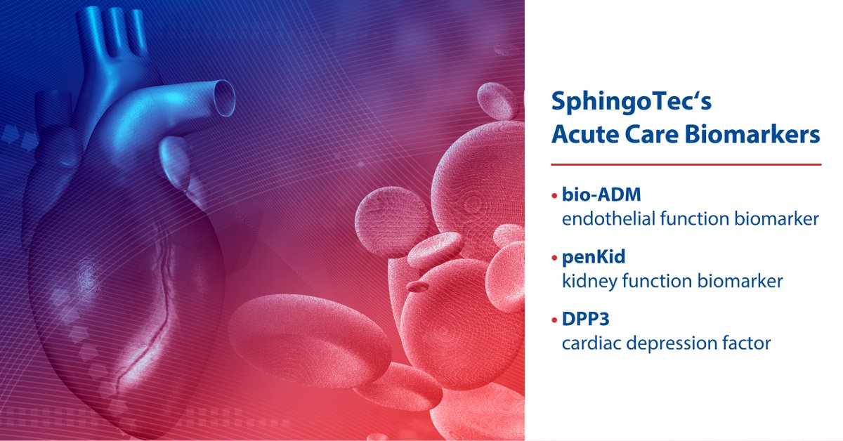 sphingotec's tweet photo. SphingoTec has identified key #biomarkers involved in major pathways in critical care: #bioADM relevant for septic shock resulting from endothelial dysfunction, #penKid for diagnosis, monitoring and recovery of #AKI, and #DPP3 release resulting in cardiac depression. https://t.co/r3KVDoNpZ2