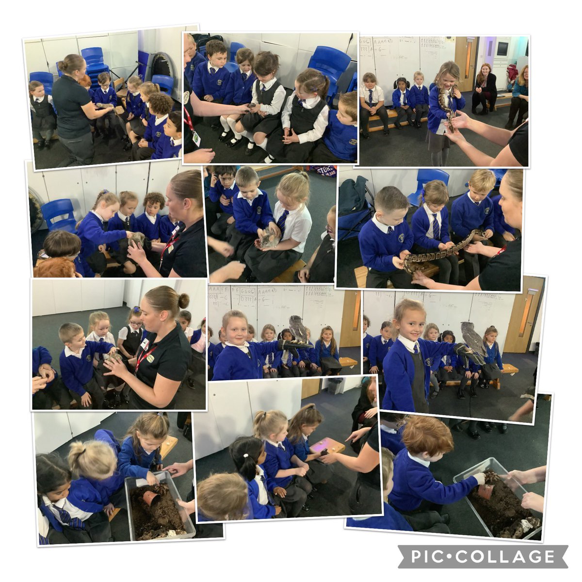 Y1 Northway tweet media