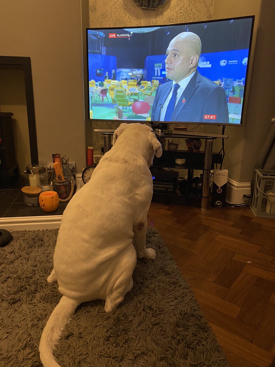 Ruby73's tweet photo. Baz is not impressed by Sajid javid on breakfast tele this morning. https://t.co/OvGZ4psEkD