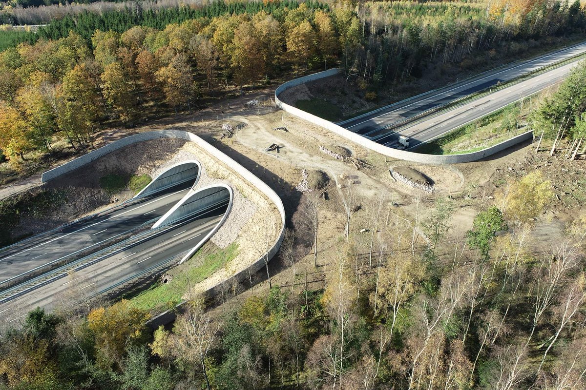 ruben_prz's tweet photo. Suecia construye un nuevo paso de fauna sobre la ruta E06, especialmente transitada en la región 🌉🐻

✅ Esta iniciativa evitará cientos de muertes de animales cada año y también decenas de accidentes. https://t.co/6B3DvfbvHD