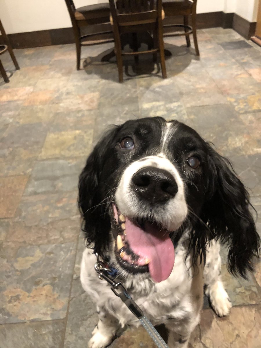 You can do it ….. It’s Wednesday!