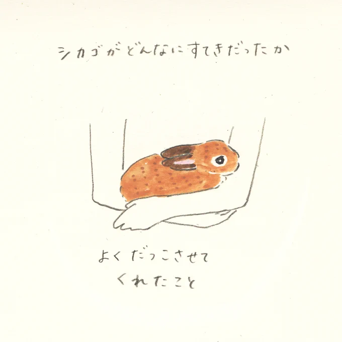 シカゴがどんなにすてきだったか 