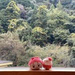 いおりん🎀🏊♂️ ( ◜︎◡︎◝︎ )のツイート画像