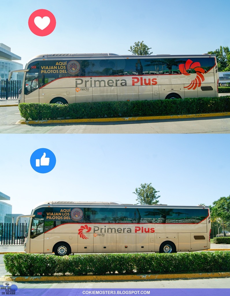 GVMX1's tweet photo. Es hora de decidir

Ya vimos las dos propuestas de la nueva cromática de Primera Plus. Ahora te toca decidir cual te parece la más apropiada.

Conecta GFA Primera Plus #Busito https://t.co/8EOf8Jz99D https://t.co/VKXpbIO0Yr https://t.co/BbikQK7MuD
