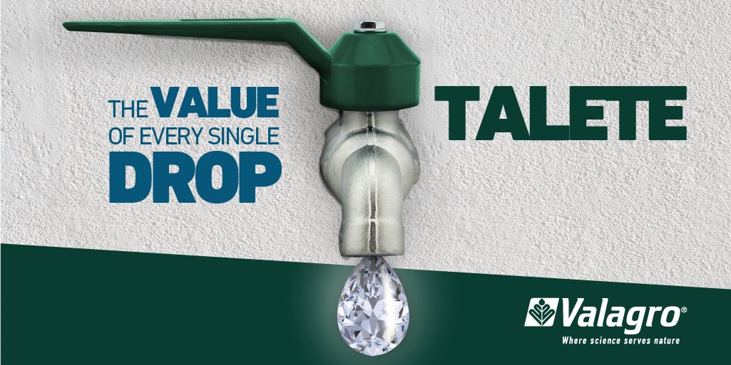 Syngenta's tweet photo. On #ScienceDay, we're proud to spotlight our @ValagroGroup colleagues. Their TALETE naturally helps crops optimize water + recently won Best New Biological Product at the #CropScienceAwards. Win-win for science and nature! 👇🏼   https://t.co/81H2hRFyIm https://t.co/66O0cb53As