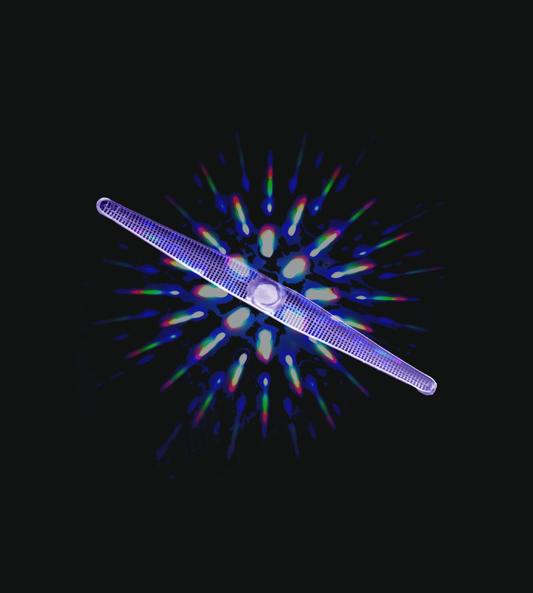 Nanomaterials MDPI (@nano_mdpi) on Twitter photo #mdpinanomaterials Read the fresh publication in <a href="/Nano_MDPI/">Nanomaterials MDPI</a> "Underwater Light Manipulation by the Benthic Diatom Ctenophora pulchella: From PAR Efficient Collection to UVR Screening".
See more details at mdpi.com/2079-4991/11/1… #mdpinanomaterials Read the fresh publication in <a href="/Nano_MDPI/">Nanomaterials MDPI</a> "Underwater Light Manipulation by the Benthic Diatom Ctenophora pulchella: From PAR Efficient Collection to UVR Screening".
See more details at mdpi.com/2079-4991/11/1…
